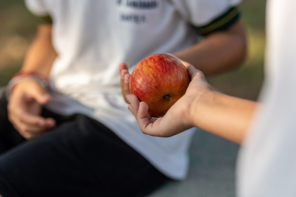 girl-giving-an-apple-to-a-boy-on-a-school-playgrou-2025-02-11-19-10-55-utc-1024x683 Muss es immer ein Superfood aus anderen Ländern sein? „An Apple a Day Keeps the Doctor Away“ – Mythos oder Wahrheit?