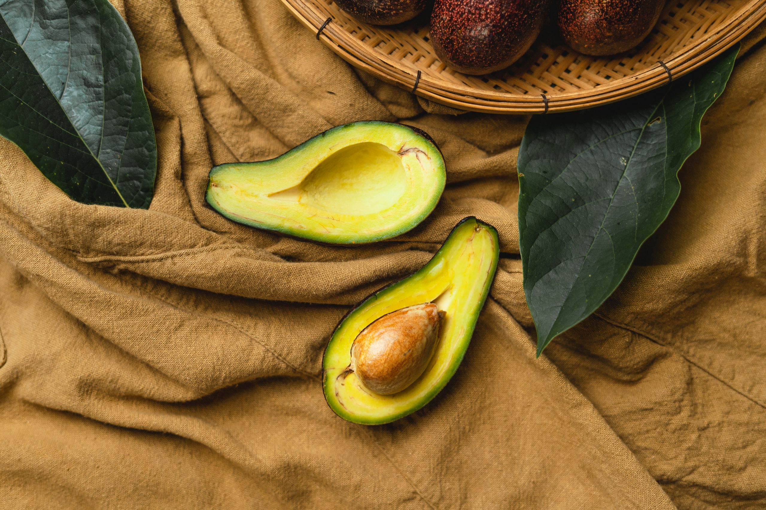 Avocado – Ist sie wirklich so gesund oder nur ein Hype?